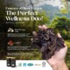 Essence of Black Fungus Mushroom
